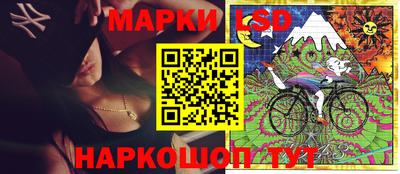 стафф Донской