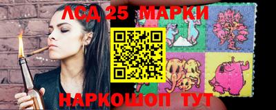 стафф Донской