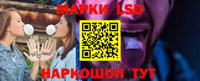 стафф Донской