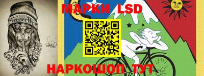 стафф Донской