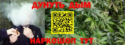 стафф Донской