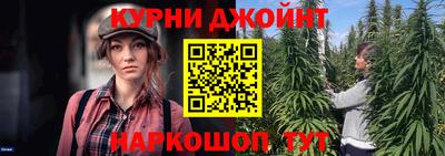 стафф Донской