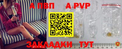 стафф Донской