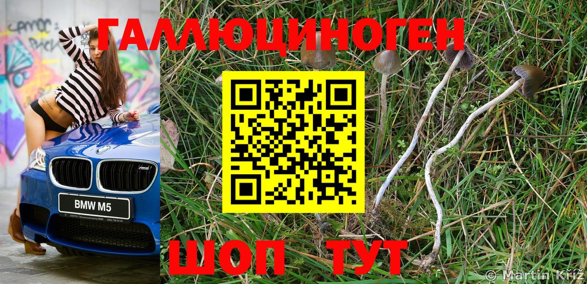 Галлюциногенные грибы Magic Shrooms Нововоронеж
