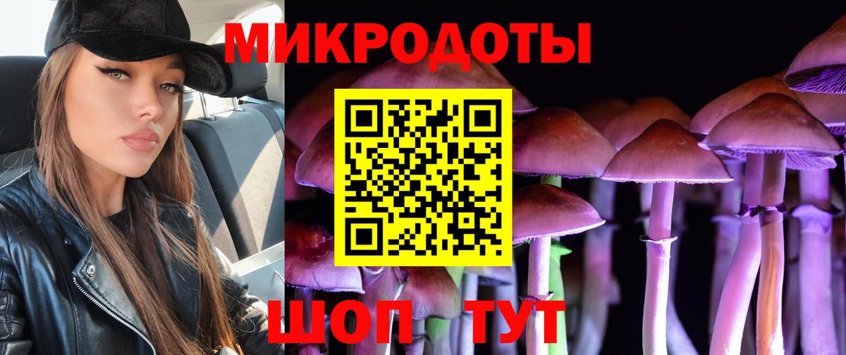 Нововоронеж  Псилоцибиновые грибы мухоморы  Галлюциногенные грибы мухоморы  Вход с VPN 